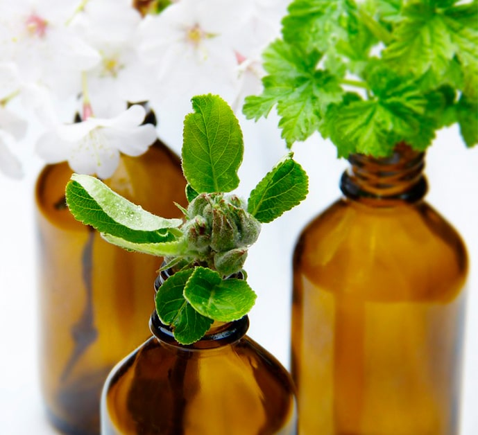 Plantas en botellas. Cosmética PROAL.